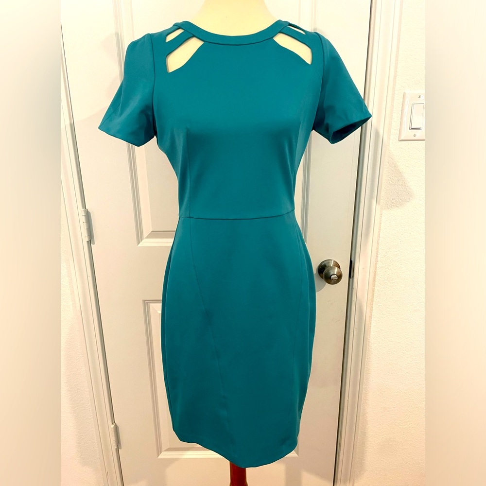 Halston Heritage dress, nwt!